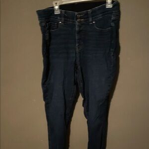 Lane Bryant Dark Blue Skinny Jeans